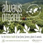 Davidson's Organics Sencha Bulk Loose Leaf Green Tea — 16oz - Image 3