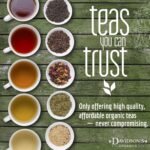 Davidson's Organics Sencha Bulk Loose Leaf Green Tea — 16oz - Image 5
